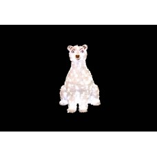 Urs Polar Bernard, EB740283