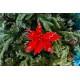 Decoratiune pentru brad in forma de floare, culoare rosu, dimensiune 27x40cm, HB-529